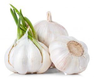 Preserving Garlic with Fermentation